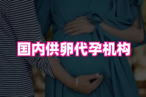 长春助孕网站 3
